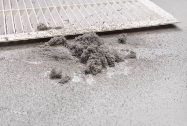 Best HVAC Air Duct Cleaning  in Medina, NY