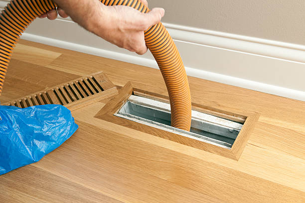 Best Air Vent Cleaning Services  in Medina, NY
